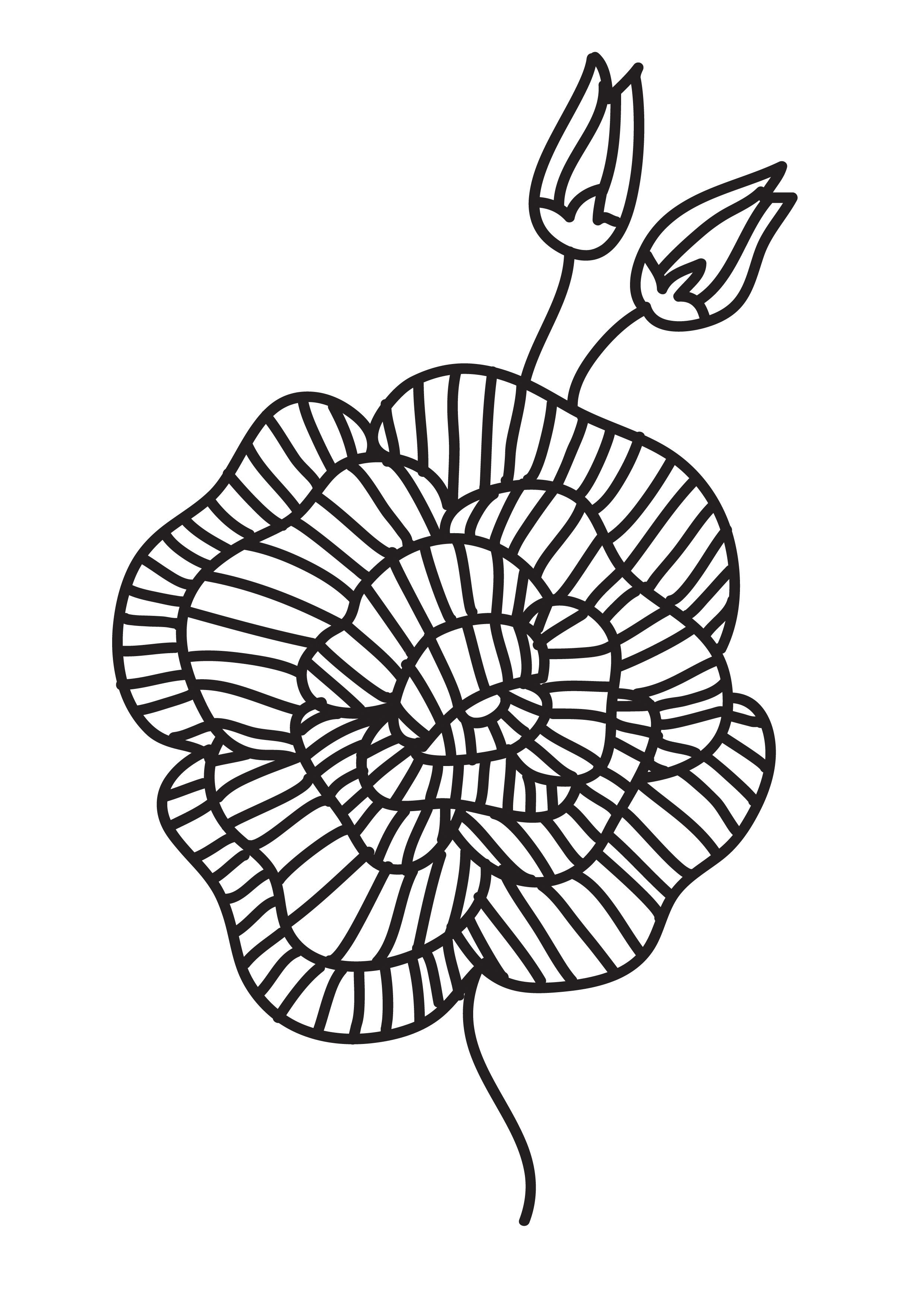flower decoration