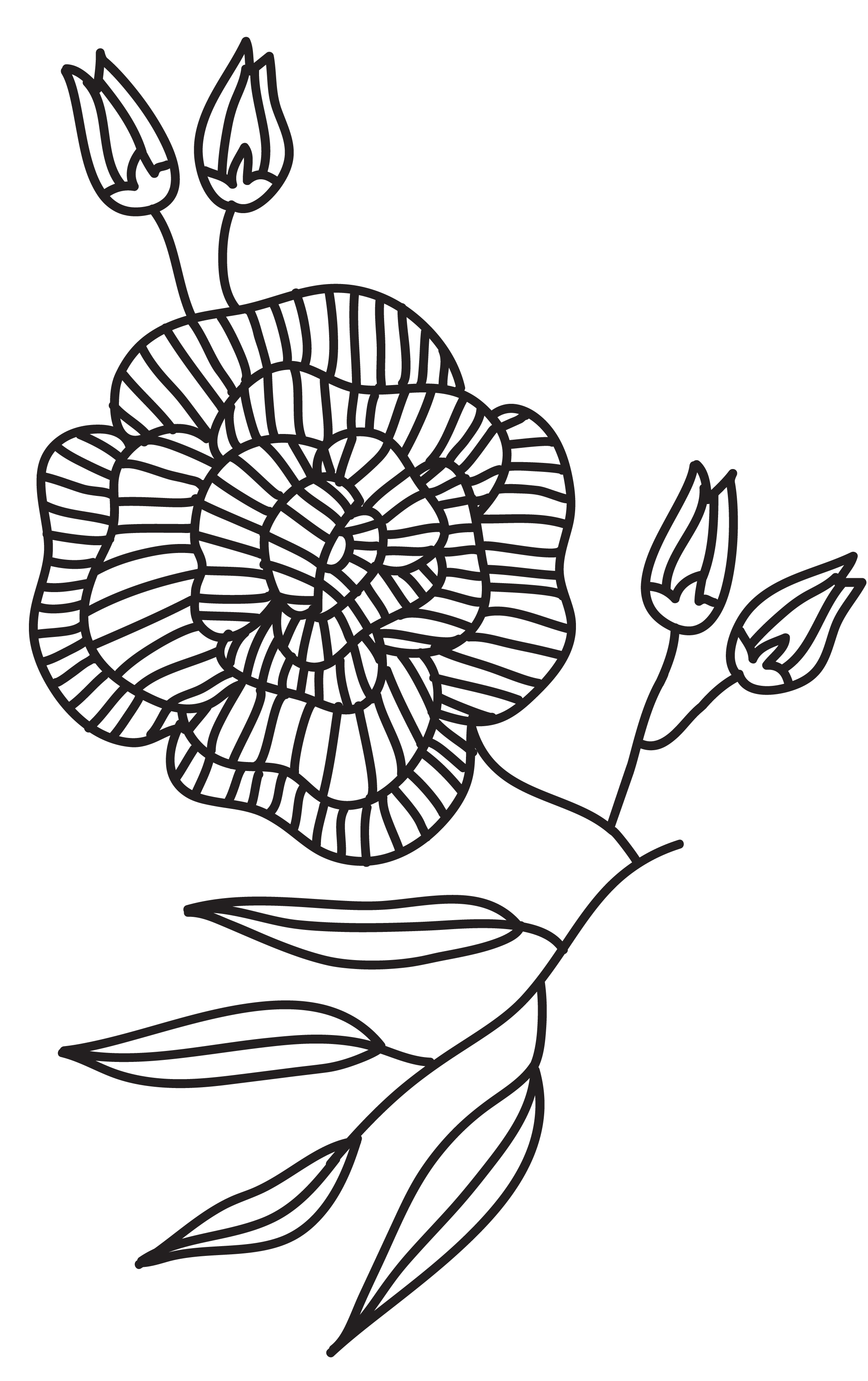 flower decoration